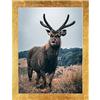 Rahmendesign24 Cornice Portafoto Milano 70 x 100 cm, Colore Oro Foglia