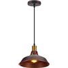 Tokoom Lampada a Sospensione E27 Vintage Industriale Lampada da soffitto Retro Interni Lampadario Ø27cm Plafoniera E27 Metallo Per Cucina Camera da letto Sala Da Pranzo (Arrugginito)