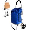 R.Leone Carrello spesa 2 Ruota Grande robusto telaio in alluminio e borsa in tela impermeabile rimovibile ideale per lo shopping comodo e pratico (Azzurro, 2 Ruota)