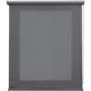 STOR PLANET | Tende Filtranti Transparenti CALM, Tenda a rullo per Interni, Tende per Cucina, Soggiorno, Camera da letto. Per Finestra e Porta, Installazione Facile | Grigio Koala, 140x250cm