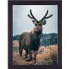 Rahmendesign24 Cornice per poster Milano 70 x 100 Nero (opaco) Cornice per foto, cornice intercambiabile, cornice per immagini, cornice per puzzle