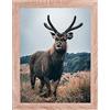 Rahmendesign24 Cornice Portafoto Milano 40x50 cm, in Legno di Rovere Sonoma, Cornice Intercambiabile, Portafoto, Cornice per Puzzle