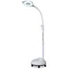 GDBTDL Lampada Medica Senza Ombre con Ingrandimento 8X, Luce LED Chirurgica Mobile Regolabile, 360° Girevole per Studio Dentista Veterinario, Esami Senza Sfarfallio.