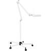 CLEADONG Lampada con lente di ingrandimento a LED, 5 x lente d'ingrandimento, per salone di bellezza, estetisti e hobbisti