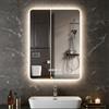 Litglobe Specchio Bagno con Luce 50x70cm,Specchiera Bagno Specchio LED con Antiappannamento,Interruttore Touch,3000K-6500K Dimmerabile,Funzione di Memoria per Casa Hotel Parrucchiere