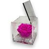 Passionefiori.it Premium-Rose Cubo Rosa Stabilizzata 10cm Vera Con Marmo di Carrara, Rosa Eterna, Idea Regalo per Lei, Natale (Fucsia, 10cm)