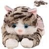 Xmccvt Peluche, Peluche morbido e abbracciabile con effetto sonoro, Pupazzo Micio Gatto, per Camera da Soggiorno Divano Ragazze Ragazzi Adolescenti Collezionisti