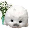 Tktouci Peluche Foca | Decorazione Per La Casa Piccola Carina Morbida Realistica,Giocattolo in Peluche di Foca Imbottito | Per Bambini Ragazzi Adulti Regalo
