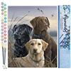 Figured'Art Dipingere con i Numeri - Paint by Numbers Trio di Labrador, Passatempo per Adulti, Kit Completo, Hobby Creativi - Quadri fai da te 40x50cm senza cornice