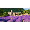 Castorland- Notre Dame de Sénanque,France,Puzzle 600 Teile, Multicolore, B-060313