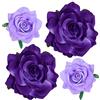 mishdacthgd Fermaglio per capelli a forma di rosa, 4 pezzi, in tessuto, stile messicano, per donne, ragazze, matrimoni, feste, festa della mamma (2 misure) (viola)