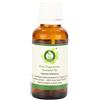 R V Essential Olio essenziale Nagarmotha | Cyperus Scariosus | Olio Nagarmotha puro | 100% naturale puro | Distillato a vapore | Grade terapeutico | Nagarmotha Essential Oil | 10ml | 0.338oz By R V Essential