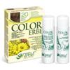 Color erbe N.20 castano chiaro cenere