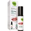 Naturando Oak Erpe Stop Roll On lenitivo per labbra, vegan, 10ml