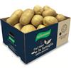 Antonio Ruggiero patate dal 1889 Patate RUGGIERO da FORNO E VAPORE sfuse box 5 kg