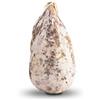 Il Salumiere dal 1978 Salame Coglioni di Mulo - Norcineria Umbra Produzione Artigianale - Norcia - Mortadella di Campotosto - Gluten Free - Il Salumiere 1978