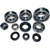 khperformance Set cuscinetti cambio con guarnizioni albero Minarelli AM6 Yamaha DT50