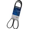 DAYCO Cinghia Poly-V 6PK1204S per CITROËN C1 II (PA, PS_)