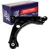 FAST Braccio oscillante, Sospensione ruota FT15157 rechts | Compatibile con: FIAT BRAVO II, STILO, STILO Multi Wagon, LANCIA DELTA III