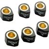 ZPTYGRS Set di rulli da corsa 6 pezzi, peso 18x14 mm, 9 g, 13, per Kymco, Agility R16 Plus, come Lx, per People S 125, 150, 200, scooter a 4 tempi(13g black)