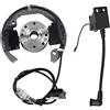 JWOO Kit volano magnete rotore statore bobina di accensione compatibile con KTM50 K-T-M 50 SX 50cc Pro Senior Junior SR JR SX50