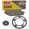RK Racing Chain Set catena adatto per Cagiva Mito 125 92-99 catena RK 520 H 114 aperto 14/41