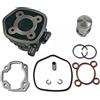 TOP-DR KT00094 GRUPPO TERMICO DR 50CC D.40 MINARELLI ORIZZONTALE H2O SP.10 GHISA