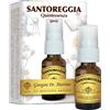 DR.GIORGINI SER-VIS SRL SANTOREGGIA QUINTESSENZA SPRAY