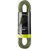 EDELRID Corda da Arrampicata Swift Protect PRO Dry 8,9 mm, Night-Green, 60m