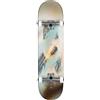 Globe G1 Stack 8.25