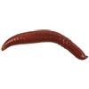 Berkley Gulp! Galleggiante Pinched Crawler, 3 cm, esca morbida - 3 cm, Nightcrawler