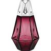 MAISON BERGER Prisme Grenat + Terre Sauvage 250ml