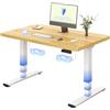 FLEXISPOT Scrivania Regolabile in Altezza Elettrica 120×80 cm con Doppio Motore, Piano Unico da 25 mm, Gambe Telescopiche a 3 Sezioni EC5 LITE