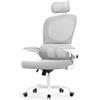 naspaluro Sedia Ufficio Ergonomica, Sedia Scrivania Con Supporto Lombare a Forma Di C, Schienale E Poggiatesta Regolabili, Braccioli Reversibili, Sedile in Rete Traspirante per L'ufficio,Grigio