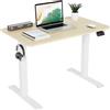 TRIUMPHKEY Scrivania Elettrica Regolabile in Altezza 100 x 60cm,Regolabile Scrivania,Tavolo da Computer,con Funzione di Memoria,Standing Desk 71-119 cm, Beige