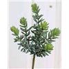 artplants.de Pachyphytum Artificiale Ludo su Gambo, Verde-Grigio, 20cm, Ø12cm - Pachyphytum Finto