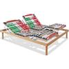 EVERGREENWEB MATERASSI & BEDS EVERGREENWEB Rete Matrimoniale Elettrica 160x200 con DISPOSITIVO MEDICO Detraibile, Alzata Pieghevole, Doghe in Legno e Piattelli Basculanti, ORTOPEDICA Struttura RINFORZATA 5 Piedi Smontabili, FUTURA