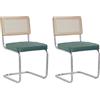 DEYARNA HOME Set di 2 Sedie da Pranzo, Sedie da Cucina Moderne di Metà Secolo con Schienale a Canne, Sedie Imbottite con Gambe in Metallo Cromato (Vert, Vello Olandese)