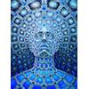 JWJQTLD Stampa su Tela Trippy Alex Grey Abstract Wall Art Canvas Painting Poster E Stampa di Immagini Soggiorno Decorazione Home Decor ， Regalo di Natale Regalo di Festa, 50X70Cm Senza Cornice