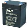 BATTERIA AL PIOMBO RICARICABILE 12 V 2,9AH FASTON 4,8MM