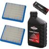 perfektGarten Candela + filtro + olio compatibile con Briggs & Stratton B&S Quantum 625 650 675