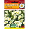Sicignano Casalinghi Ingrosso Casalinghi Sicignano | Semi Margheritine Bianche, Pianta Erbacea Perenne da Giardino, Busta Extra - 4 Confezioni da 0.21g, Fiori per Prati, Fioritura da Marzo a Maggio