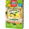 Antika Officina Botanika Concime granulare per Limoni, Arance, Mandarini, Pompelmi e Cedri. Migliora Lo Sviluppo, intensifica la fioritura, Riduce la cascola e Rende Il Raccolto più' saporito. Alta efficacia