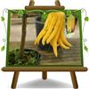 EURO PLANTS VIVAI Agrumi Cedro Citrus Medica Mano di Buddha pianta da frutto su vaso 20/22 cm - Altezza 60-80 cm