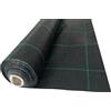 eacommerce - Telo Pacciamatura 100gr/mq Anti Erbacce e UV | Permeabile e Resistente | Facilita Crescita Piante, Nero 1,05x10 Metri