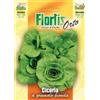 Flortis Cicoria A Grumolo Bionda