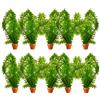 vdvelde.com vdvelde - Elodea Egeria Densa - Set da 10 - Pianta Ossigenante per Laghetto & Acquario - Contro Alghe & per Acqua Limpida - Rustica - Pianta Subacquea