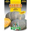 Generic Sementi ibride e selezioni speciali di alta qualità per la produzione di ortaggi nell'orto di famiglia (ZUCCA GISELLE F.1, UNA BUSTA)