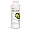 Bio A.L.T. Distillato di Legno Corroborante Biologico Contro Insetti Volanti Tignola Mosca dell' Olivo Mosca della Frutta Potenzia Le Difese della Pianta per Agricoltura Biologica 1 LITRO