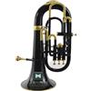 Indian Musical Instrument IMI EUPHONIUM 4 VALVOLA Strumento musicale con tutti gli accessori (NERO ORO)